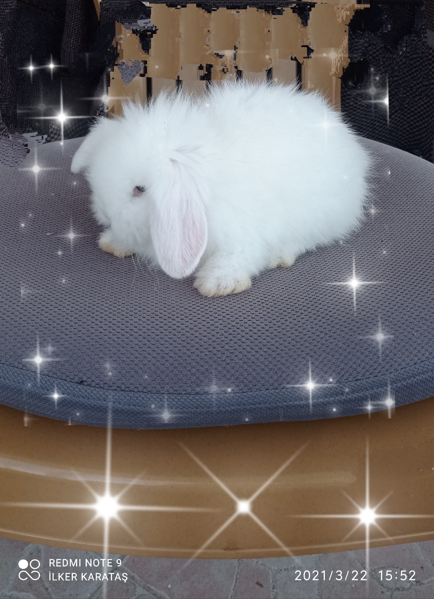 TE-26-003